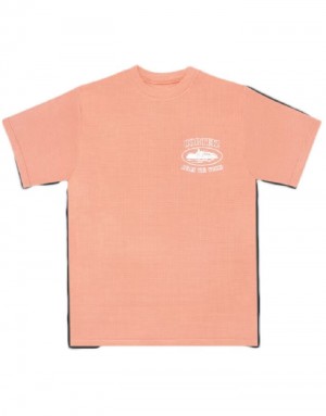 Pánské Tričko Corteiz Insignia Short Sleeve Waffle Bílé CZ | I1Q-7653